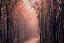 壹号娱乐:山地自行车出现夺命事故!社区深切悼念这位“真正的澳大利亚英雄”.