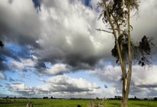 壹号娱乐:乌克兰武装部队联合部队司令被解职.