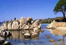 壹号娱乐:国家外汇管理局:我国外汇市场韧性不断增强.